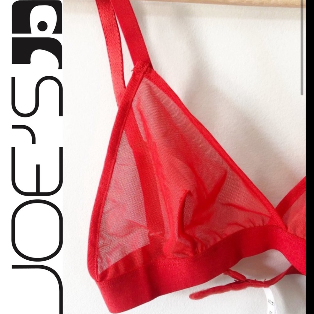 ♥️NWT😍 JOE’s JEANS MESH RED TRIANGLE BRA♥️